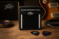 Peavey-Style Pick Holder & Storage Box